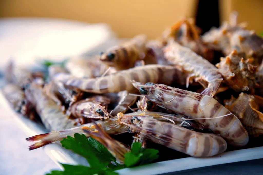 [Junio - Jornadas Gastronómicas del Mar y de la Huerta]